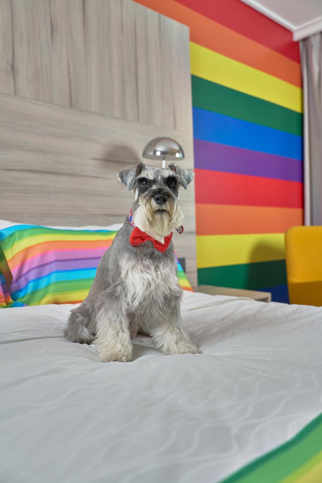 Pullman Santiago Vitacura Dış mekan fotoğraf